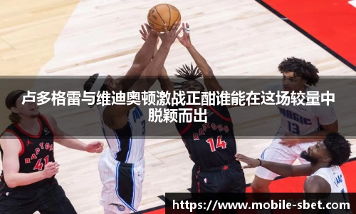sbet实博官方网站